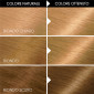 Immagine 4 - Garnier Belle Color Tinta Permanente per Capelli Colore 1 Biondo Chiaro Naturale