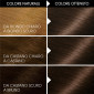 Immagine 3 - Garnier Belle Color Tinta Permanente per Capelli Colore 24 Castano Scuro Naturale