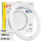 Immagine 1 - Life Circolina T9 LED G10q 19W SMD Lampadina Ø30cm - mod.