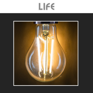 Lampadina LED E27 12W Bulb A70 Goccia Filament Vetro Life
