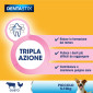 Immagine 5 - Pedigree Dentastix Small per l'Igiene Orale del Cane - Confezione da 70 Stick