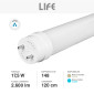 Immagine 4 - Life HF7 Tubo LED G13 17,5W T8 SMD Lampadina 120cm in Vetro con Starter - mod. 39.967120N40 / 39.967120F65
