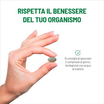 Equilibra Moringa Protein Equilibrio del Peso 120 Compresse