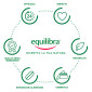 Immagine 5 - Equilibra Moringa Protein Integratore Alimentare Equilibrio Peso Corporeo Vegan Senza Glutine - Barattolo da 120 Compresse