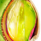 Immagine 2 - Garnier Fructis Hydra Ricci Air-Dry Cream Trattamento Definizione Senza Risciacquo per Capelli Mossi e Ricci - Flacone da 400ml