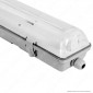 Immagine 1 - Life Plafoniera Singola Impermeabile per Tubi LED T8 da 150cm - mod.