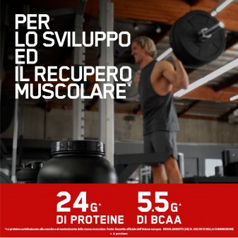 Optimum Nutrition Gold Standard 100% Whey Cioccolato al Latte 893g
